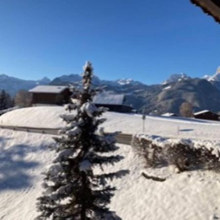 Chalet Soldanella 10 Guests 格施塔德 外观 照片