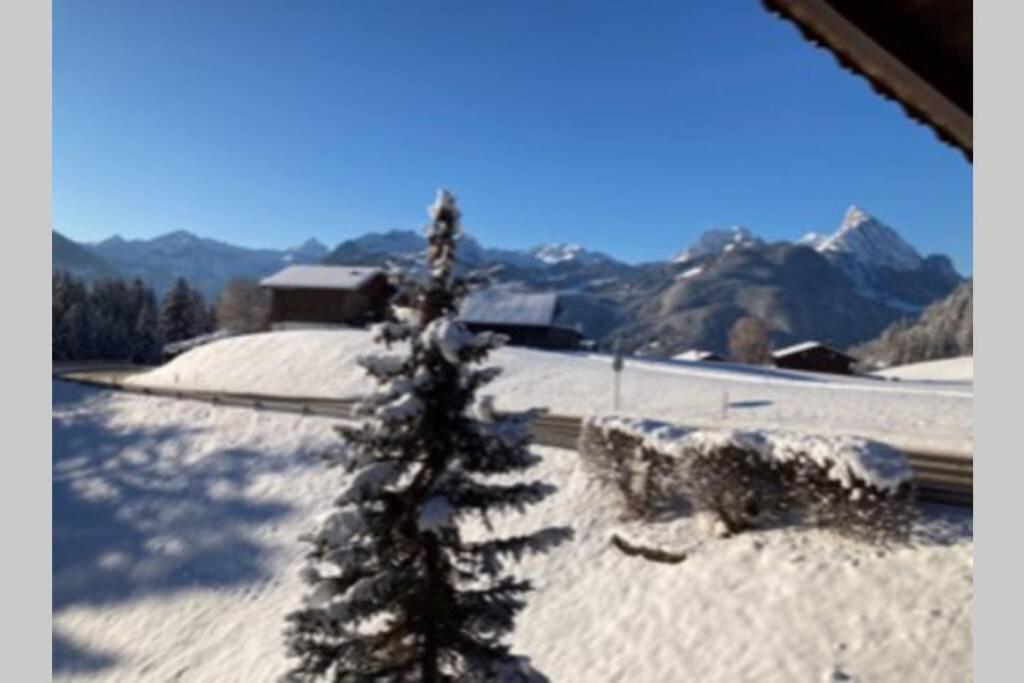 Chalet Soldanella 10 Guests 格施塔德 外观 照片
